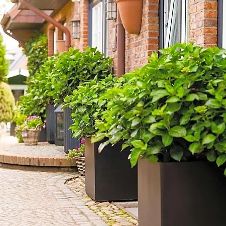 Jaumann's Südwind Sylt Hotel Westerland