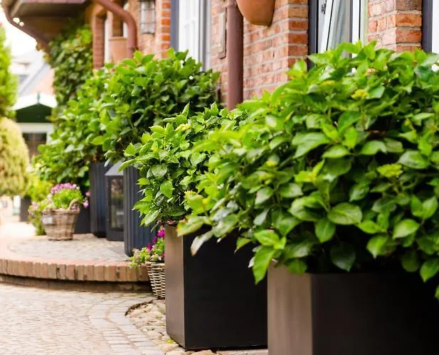 Jaumann's Südwind Sylt 3*